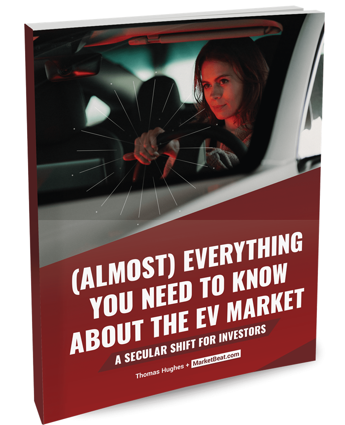 (Almost) Everything You Need To Know About The EV Market